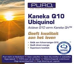 Q10 Kaneka