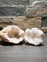 Marokaanse Kwarts Geode
